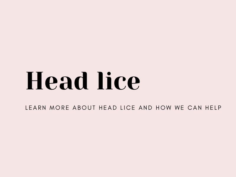 Head Lice